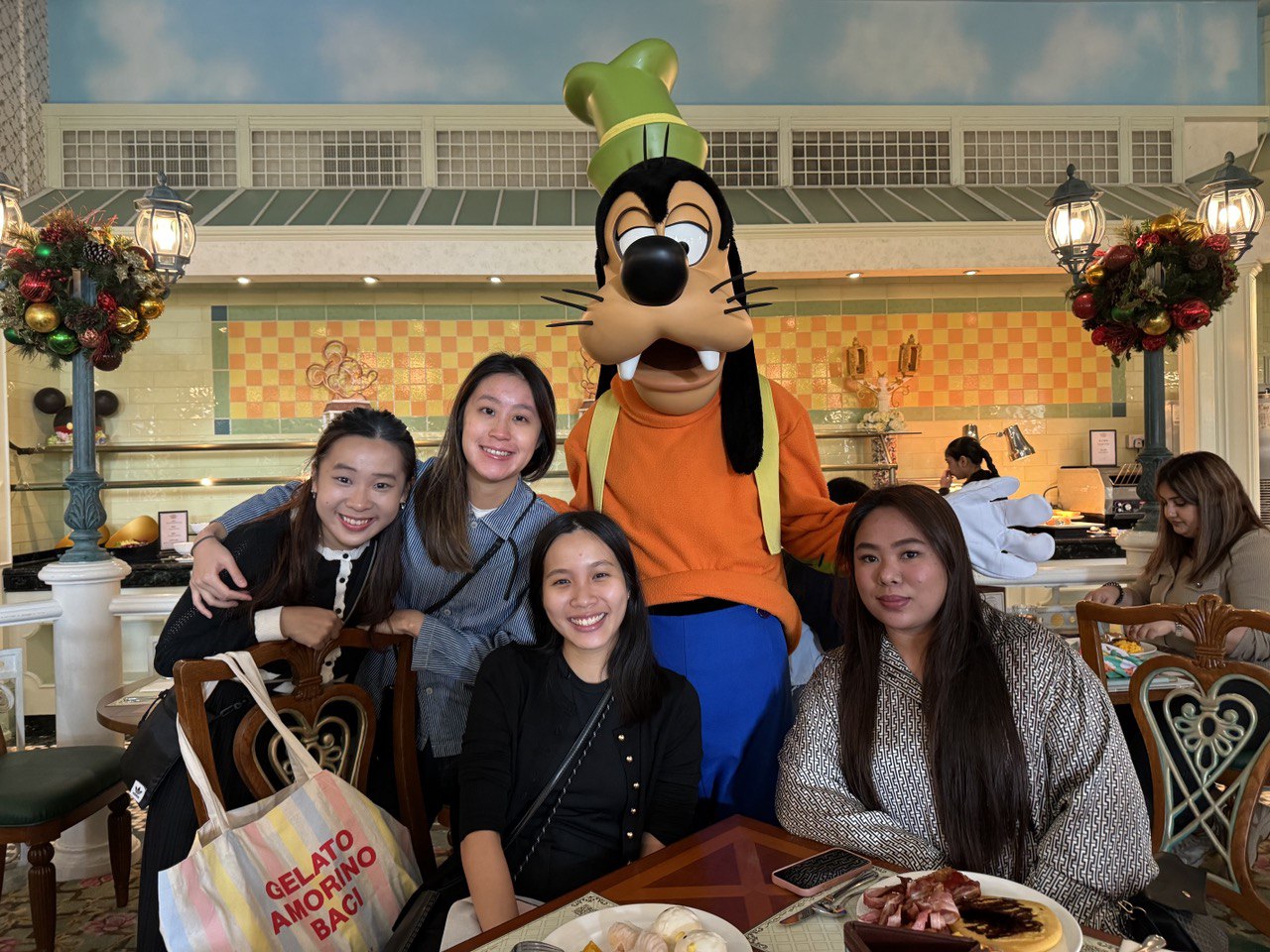 HKDL_CARM